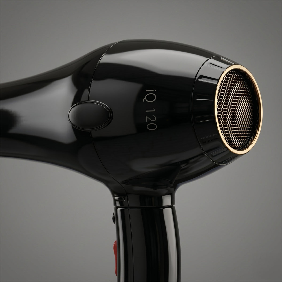 iQ120 Hair Dryer