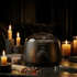 Wax Warmer Heater | Professional & Home Use (WH-001D)
